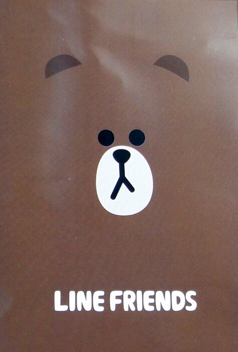 【UNIPRO】LINE FRIENDS 熊大 莎莉 毯子 刷毛毯 冷氣毯 野餐墊 薄毯 小被毯 BABY毯