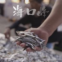 海口峰水產｜澎湖海鮮直送