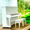🌳中山まちピアノ🎶🌳ピアニストとピアノキーパーの森🌳横浜市緑区