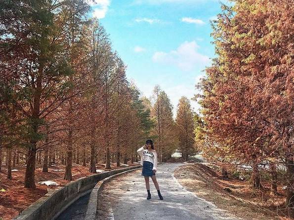 圖片來源：IG @daisy950617