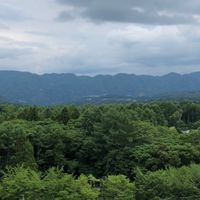 金融サークル