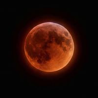 Blood moon Evade