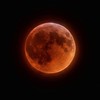 Blood moon Evade