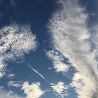 鳥が好き！鳥の写真集