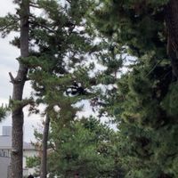 (2026)松並青葉東町内会班長用