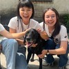 中興大學浪浪樂活義工群