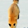 結論から言うね。👉 それ、*全緩也壁打ち* かも 😆