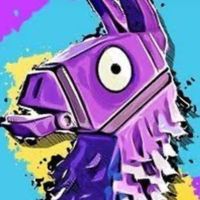 フォトナ皆で楽しくやろ！