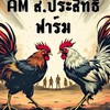ซุ้มไก่ชน AM สารคาม [พม่าแข้งหน้า]