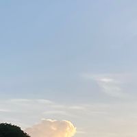 バウンティ!大手目指してます！🍀