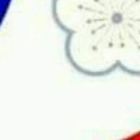 軍公教聯盟_Apeatw