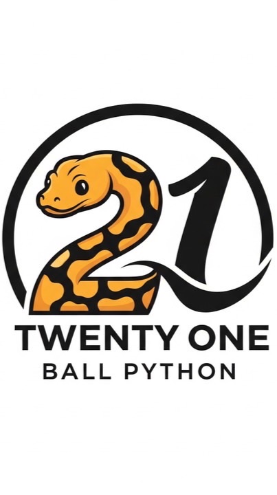 21 Ball phythons