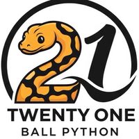 21 Ball phythons