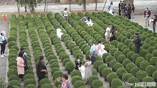 22花卉展雙十吸客親子拍照好去處 台灣生活新聞 Line Today