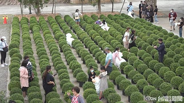 22花卉展雙十吸客親子拍照好去處 台灣生活新聞 Line Today