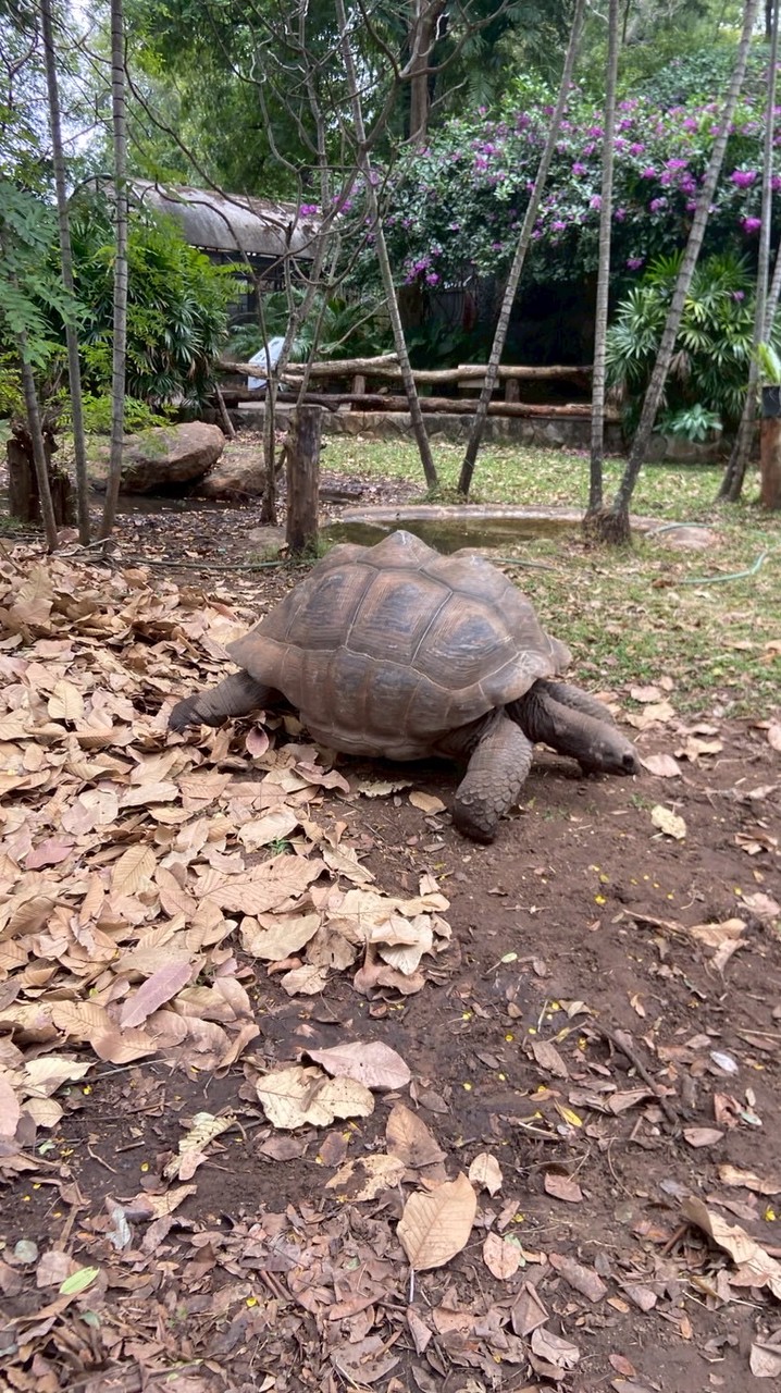 6740109121 นางสาวศิรประภา คำมี