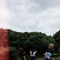 哈旗鼓小群