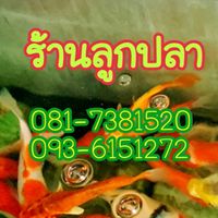 ร้านลูกปลา โคกโพธิ์
