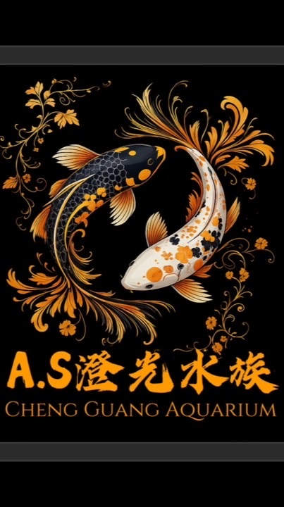 A.S澄光水族