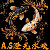 A.S澄光水族