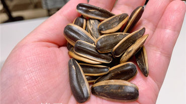 零嘴點心推薦/洽洽焦糖瓜子-酥脆好吃又好咬開，閒暇生活必備的健康堅果美食！日常生活/堅果推薦/酥脆點心/堅果點心/傳統美食/葵瓜子/低負擔養生點心/健康零嘴/藍子愛美食