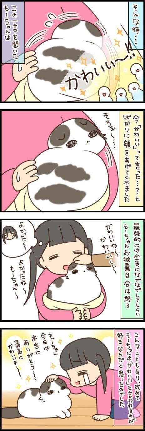 しっぽは何のためにあるの 役割や形にまつわるアレコレ