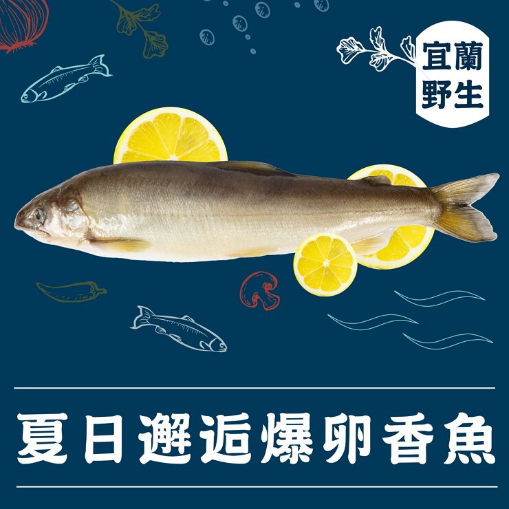 【就是愛海鮮-宜蘭野生公香魚】10p(1kg)/彰化海鮮肉品/小鮮肉首選/來自淡水河流的野生公香魚/鮮味規格選擇/細緻帶點香氣/原味烹調天然鮮美/爸爸小酌下酒菜/冰箱必備食材。人氣店家就是愛海鮮的尚青