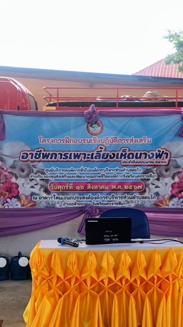 โครงการเห็ด 67