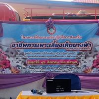โครงการเห็ด 67