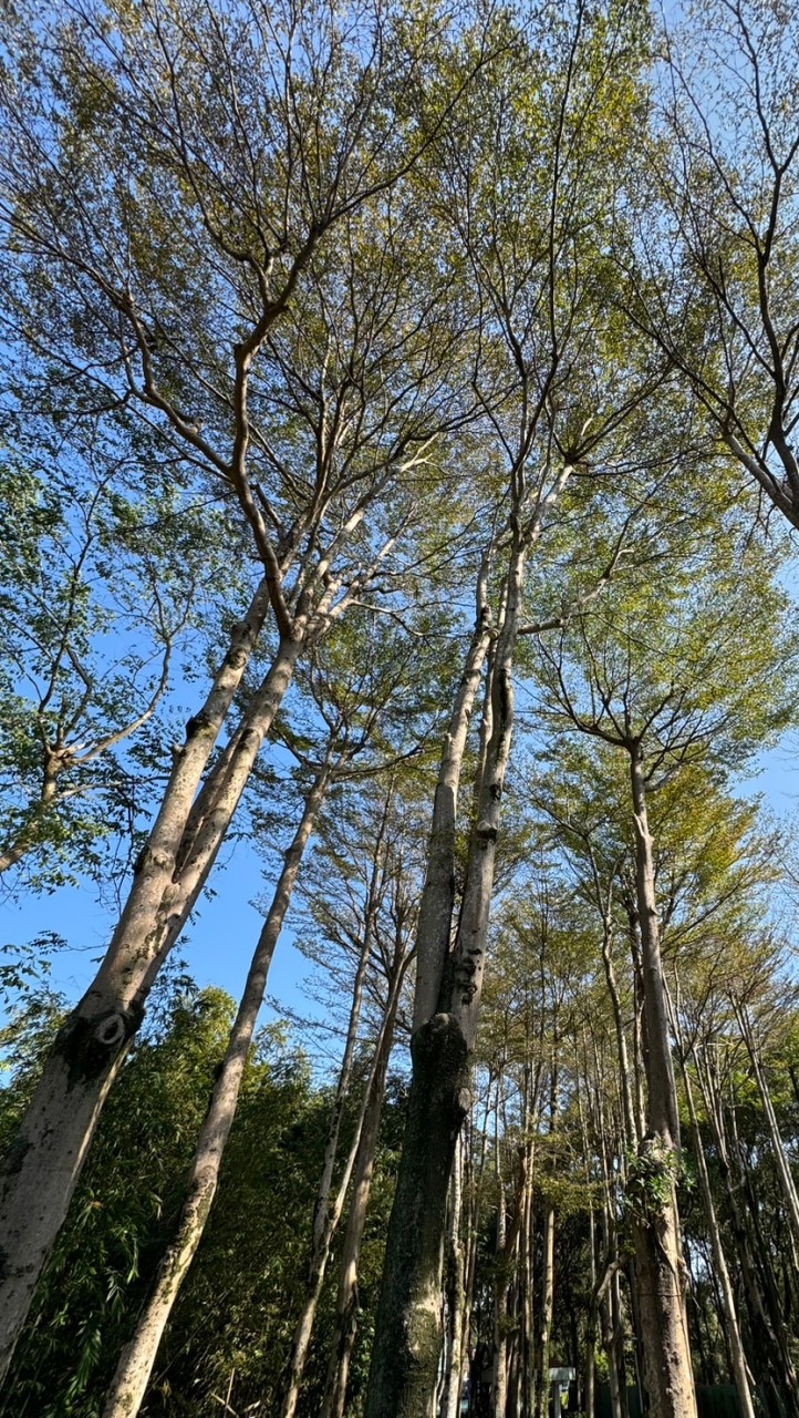 臺北所退休人員交流群組