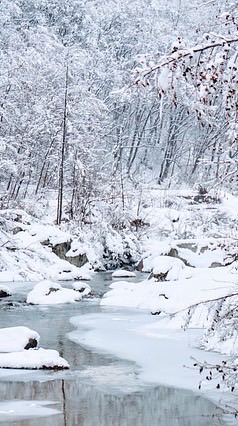 ♡°ஂ靜雪幽夢♡°ஂ