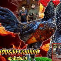 สังวาลย์ภักดี