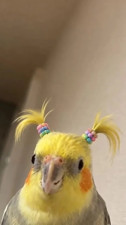 暇な人の集まり