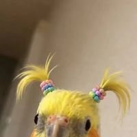 暇な人の集まり