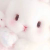 𓈒age݁nt݁݁𓈒app ݁♡݁݁& stic݁ke݁r𓈒 line݁𓂂