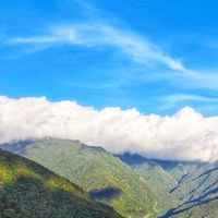 大漢山森林療癒農場