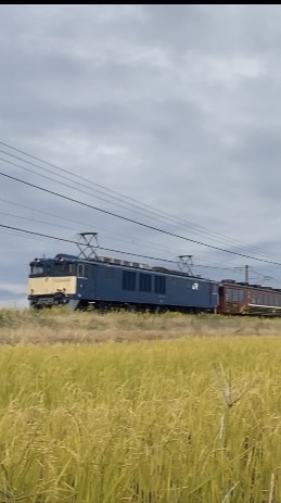 鉄道好き集まれ！
