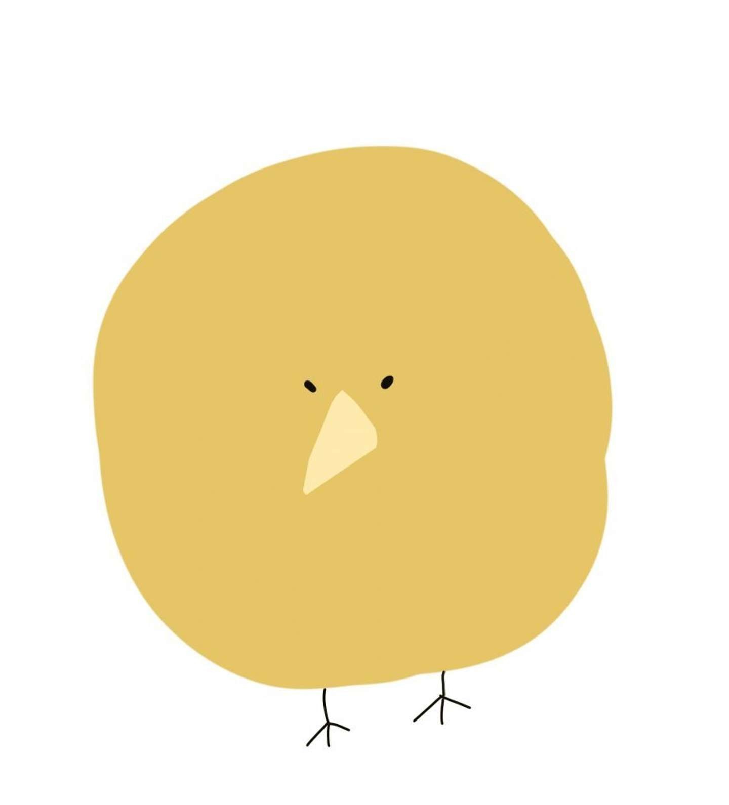 断面が鳥の キーウィ にしか見えないキウイフルーツが発見される Jタウンネット