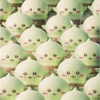 織夢花園-星落花庭💫
