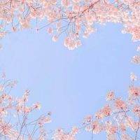 𝐅𝐚𝐧𝐜𝐲 𝒚𝓸𝒖 ꒷꒦‪‪❤︎‬