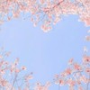 𝐅𝐚𝐧𝐜𝐲 𝒚𝓸𝒖 ꒷꒦‪‪❤︎‬