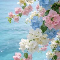 𝐅𝐚𝐧𝐜𝐲 𝒚𝓸𝒖 ꒷꒦‪‪❤︎‬