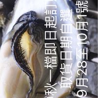 烤蚵季開跑囉
