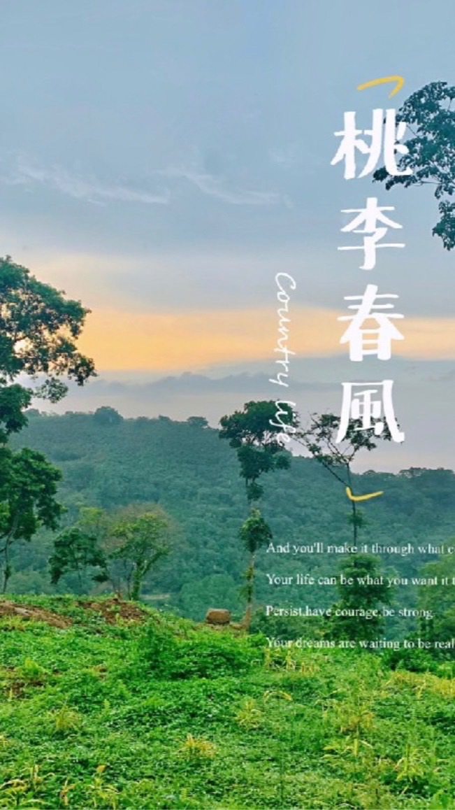 桃李春風社區