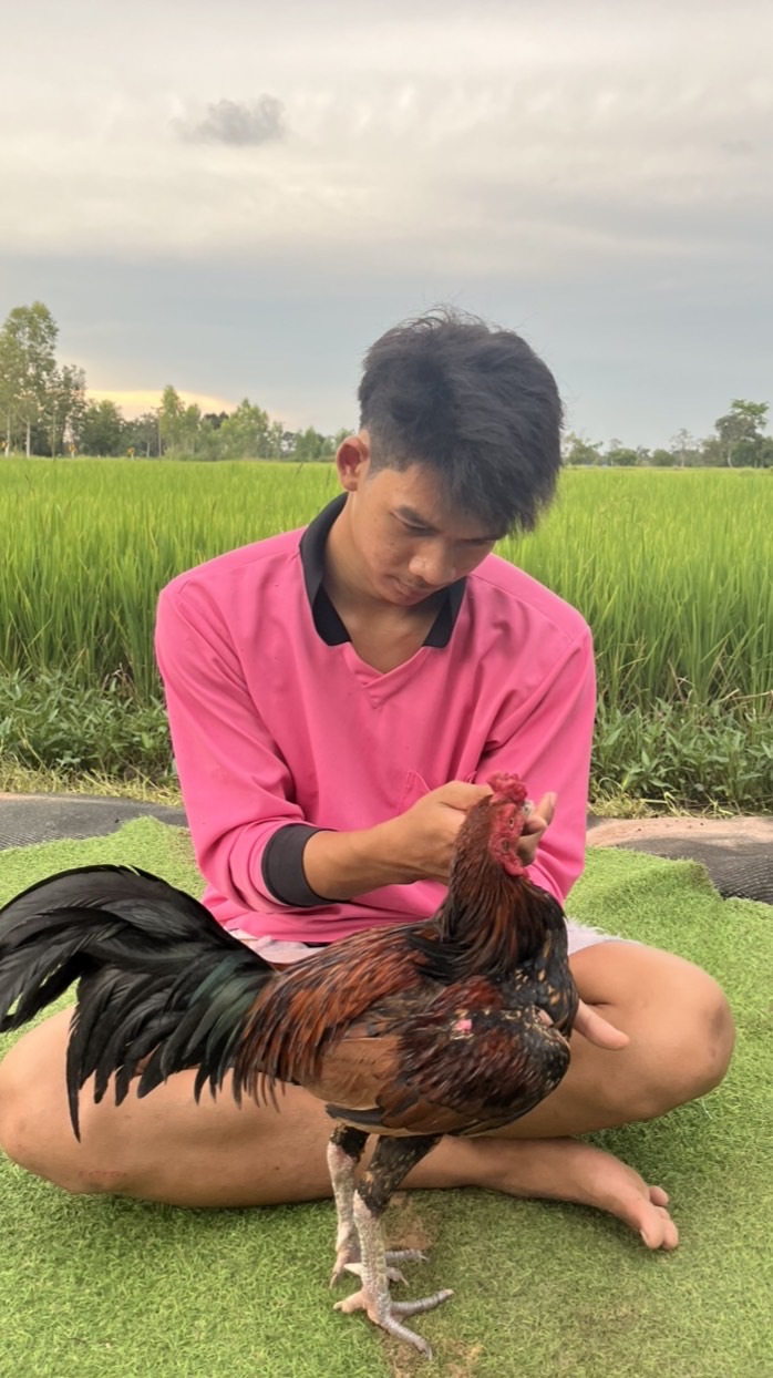 หนึ่งน้อย ฟาร์มอุบล(เหล่าไอ้หนูแข้งมหัศจรรย์)