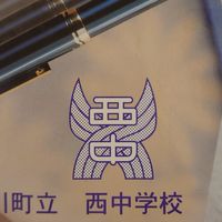 西欅82年度openchat