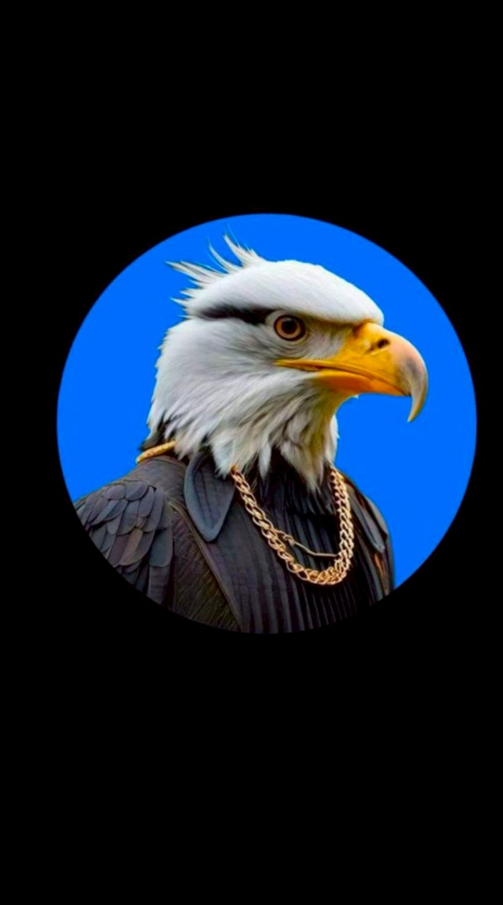 老鷹（中文）資訊交流