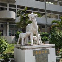 大橋國小公務社群(114學年度教職員工)