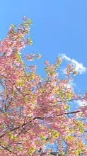 辛い人、人の相談にのりたい人おいで。