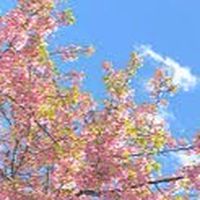 辛い人、人の相談にのりたい人おいで。